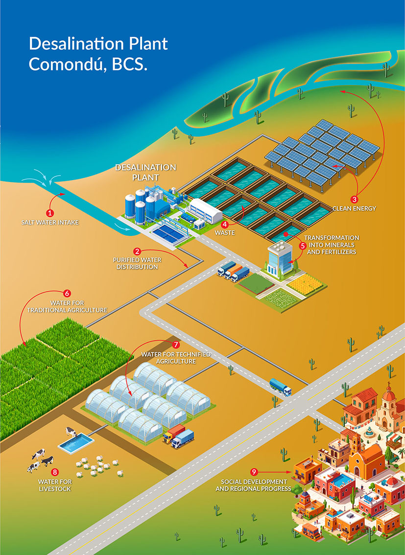 pexels pixabay 60013